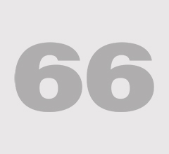 Ropin' Flamingo Drive-In