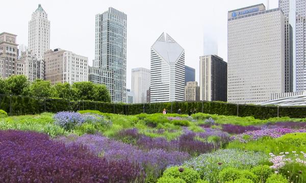 Lurie Garden