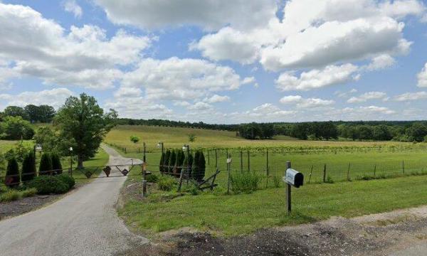Belmont Vineyards