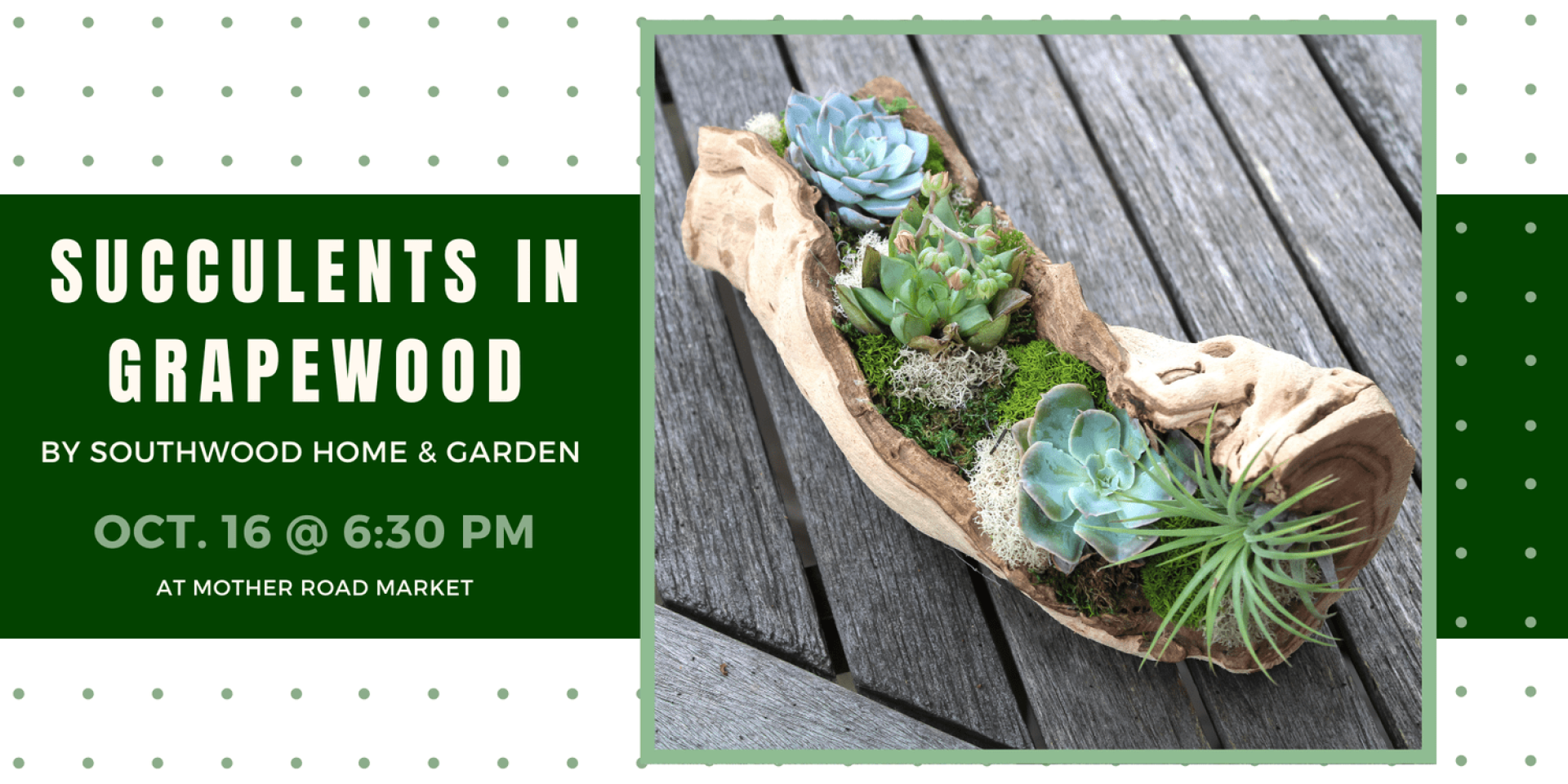 Bumps on a Log: Succulents in Grapewood