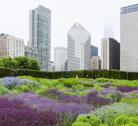 Lurie Garden
