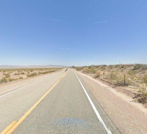 Bagdad Tree