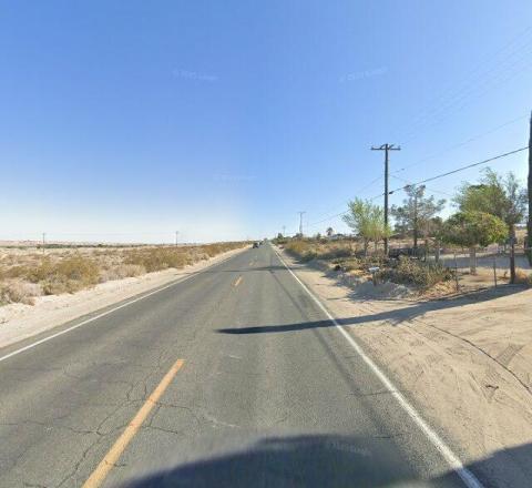 Elmer's Bottle Tree Ranch